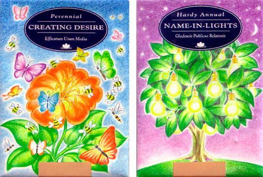 seeds-2.jpg