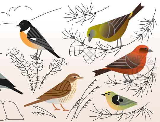 101-birds-profile-3.jpg