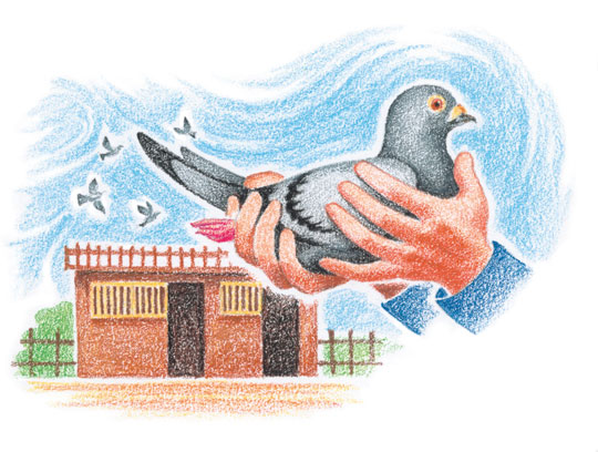 Crayon-childrens-book-profile-2.jpg